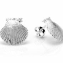 pecten mit stecker